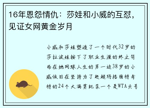 16年恩怨情仇：莎娃和小威的互怼，见证女网黄金岁月