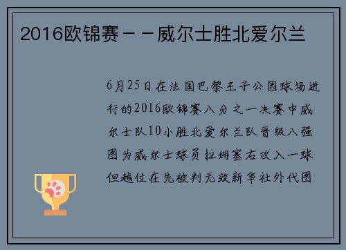 2016欧锦赛－－威尔士胜北爱尔兰